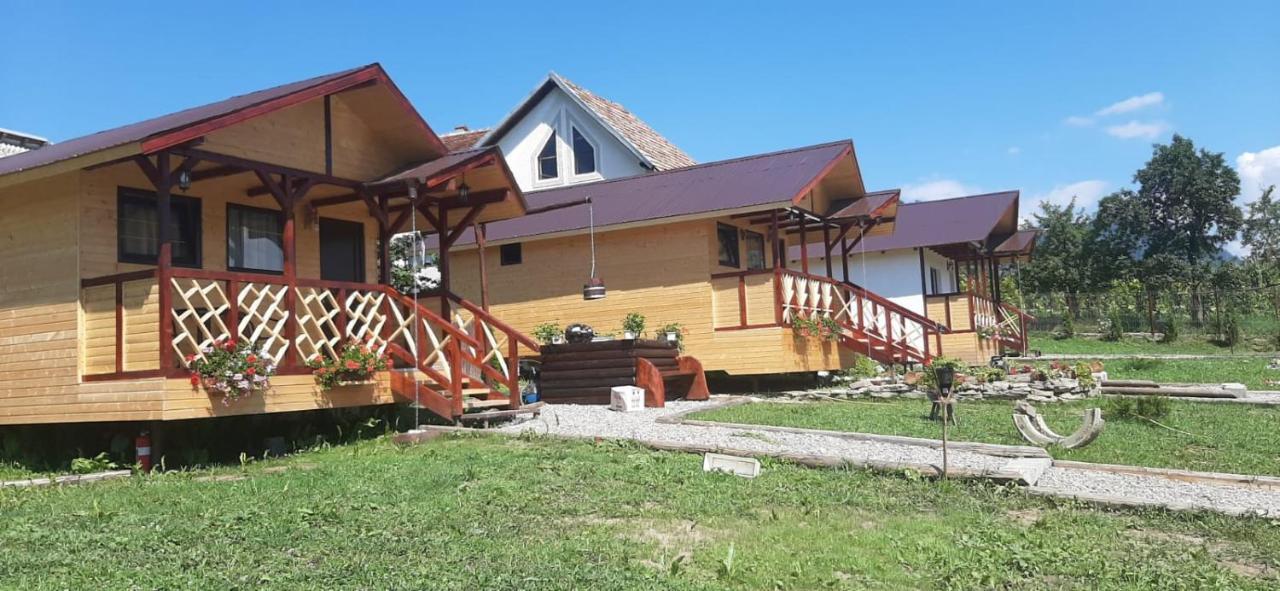 Baltina Parc Transfagarasan Villa คูร์ตา เด อาร์เจช ภายนอก รูปภาพ