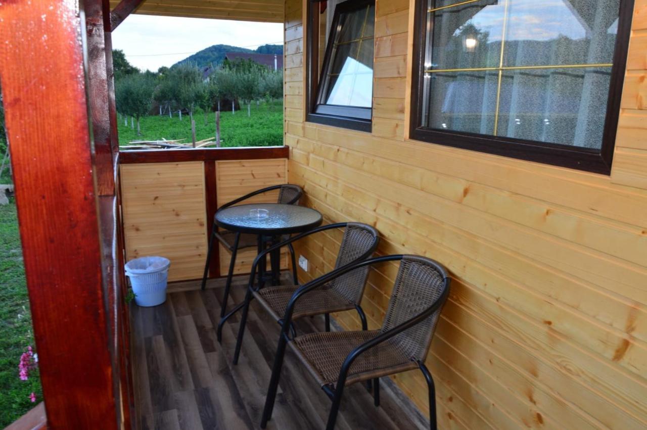 Baltina Parc Transfagarasan Villa คูร์ตา เด อาร์เจช ภายนอก รูปภาพ