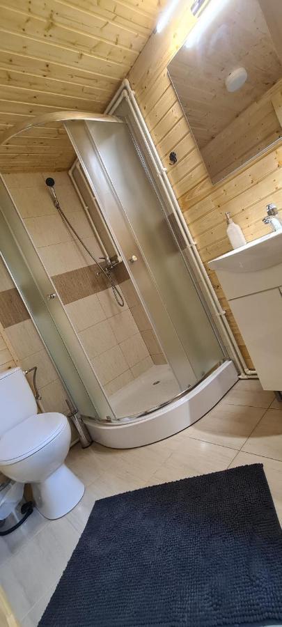 Baltina Parc Transfagarasan Villa คูร์ตา เด อาร์เจช ภายนอก รูปภาพ