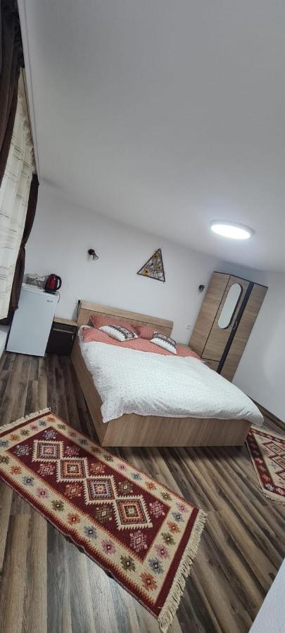 Baltina Parc Transfagarasan Villa คูร์ตา เด อาร์เจช ภายนอก รูปภาพ
