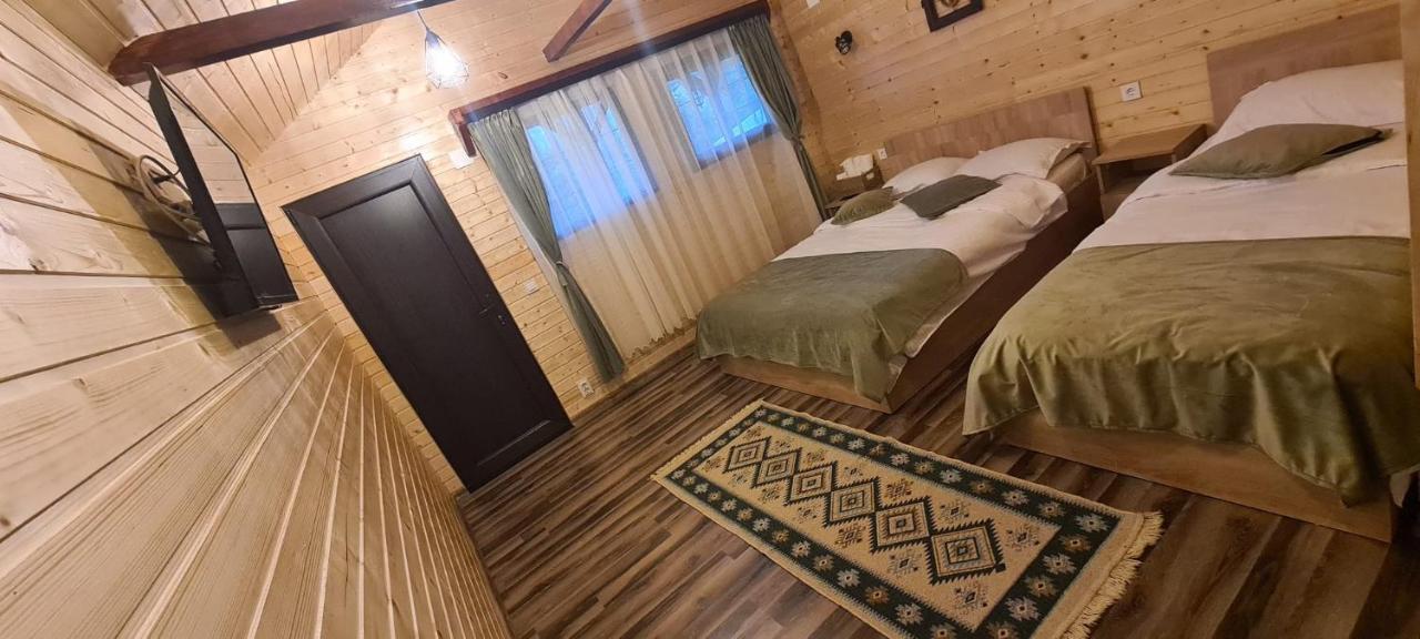 Baltina Parc Transfagarasan Villa คูร์ตา เด อาร์เจช ภายนอก รูปภาพ