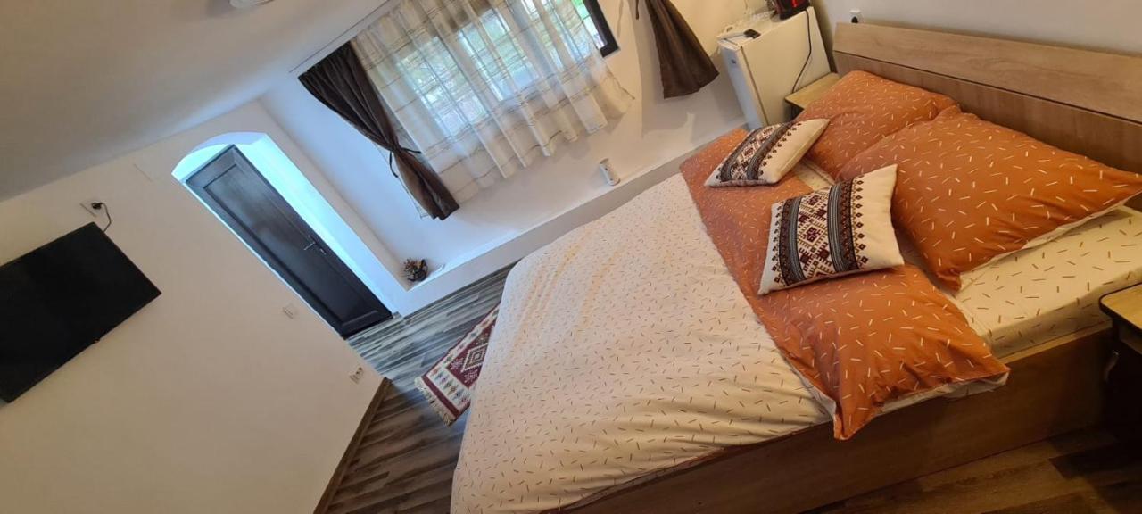 Baltina Parc Transfagarasan Villa คูร์ตา เด อาร์เจช ภายนอก รูปภาพ