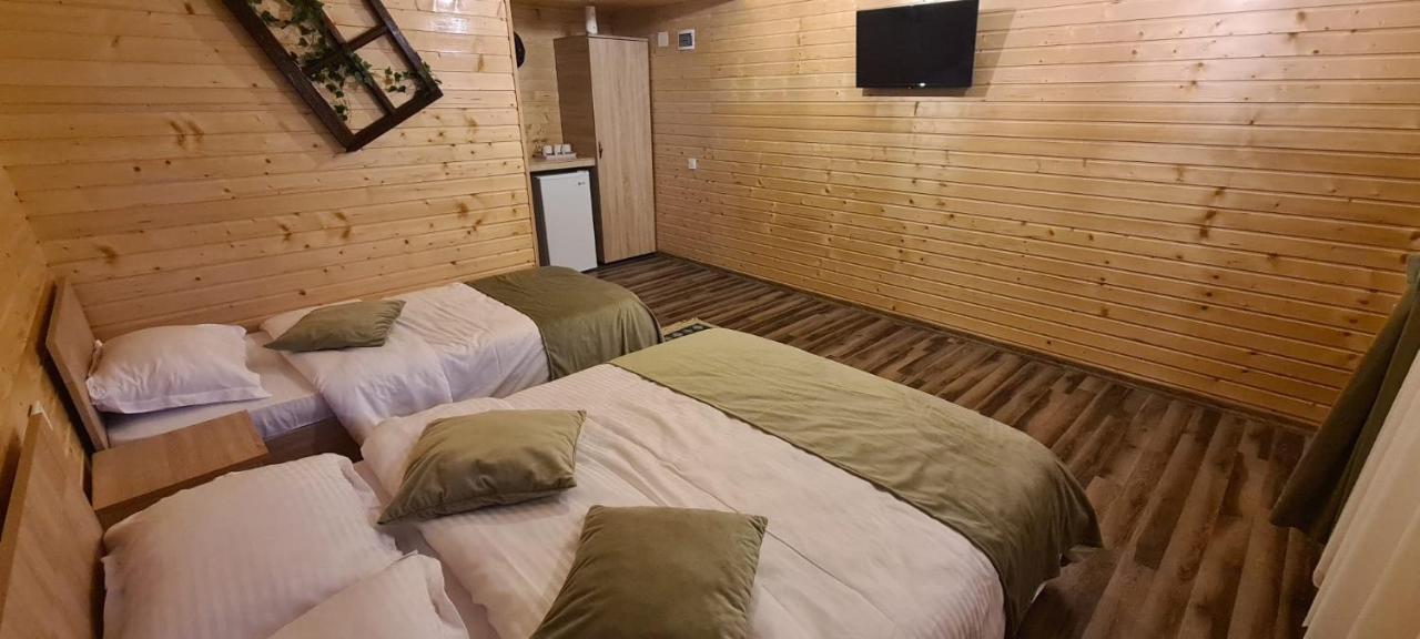 Baltina Parc Transfagarasan Villa คูร์ตา เด อาร์เจช ภายนอก รูปภาพ