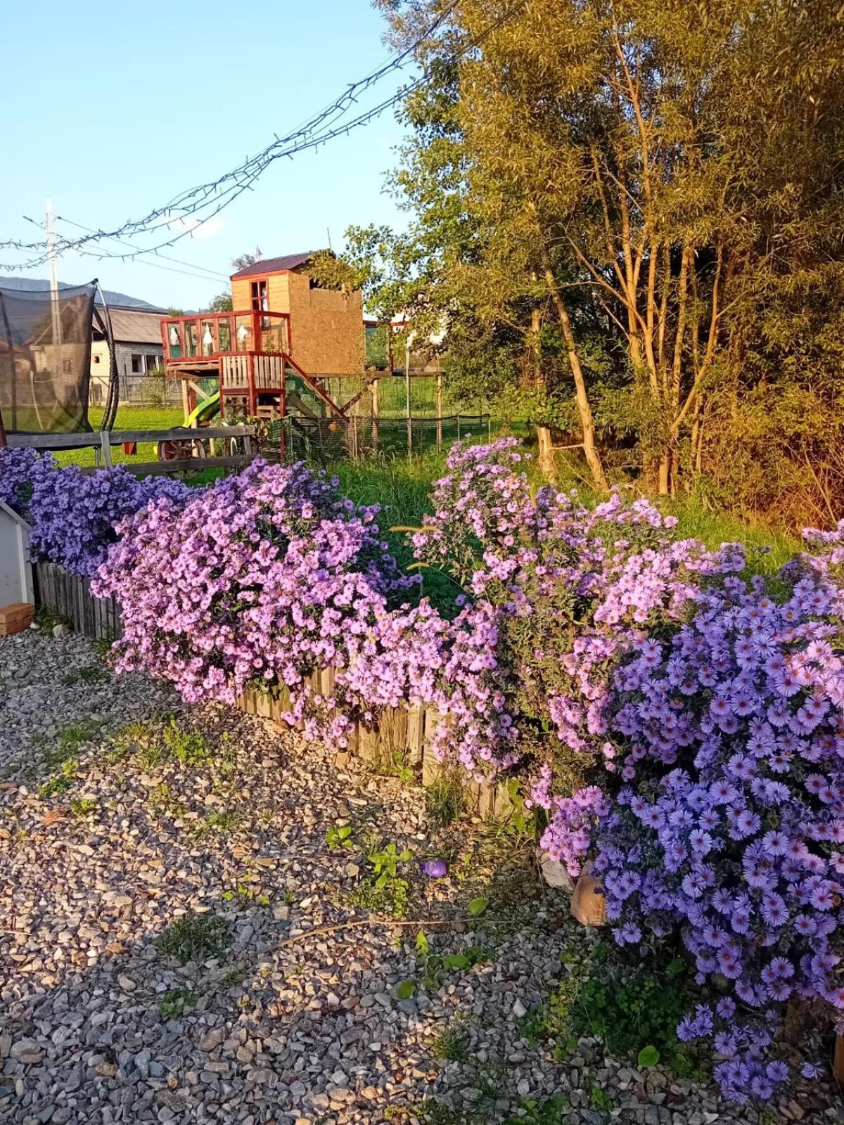 Baltina Parc Transfagarasan Villa คูร์ตา เด อาร์เจช ภายนอก รูปภาพ