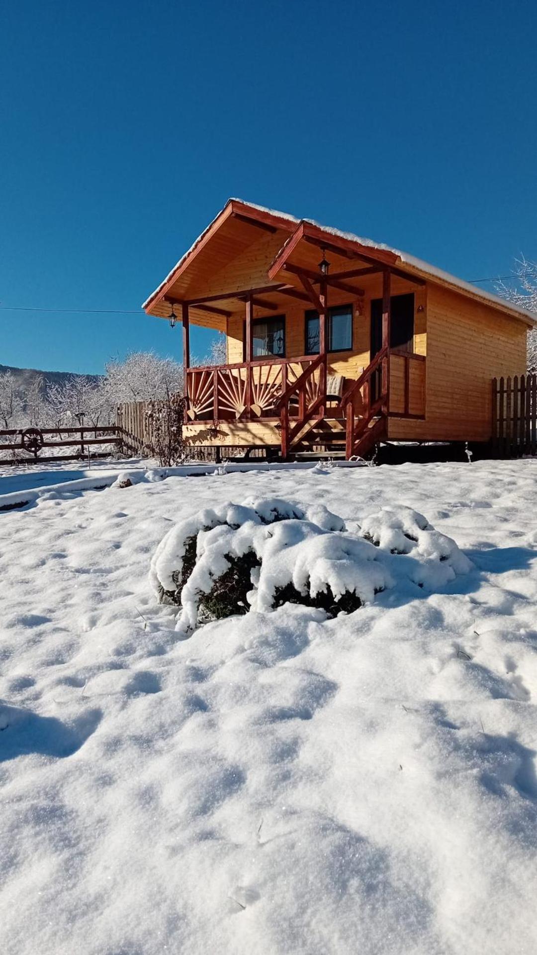 Baltina Parc Transfagarasan Villa คูร์ตา เด อาร์เจช ภายนอก รูปภาพ