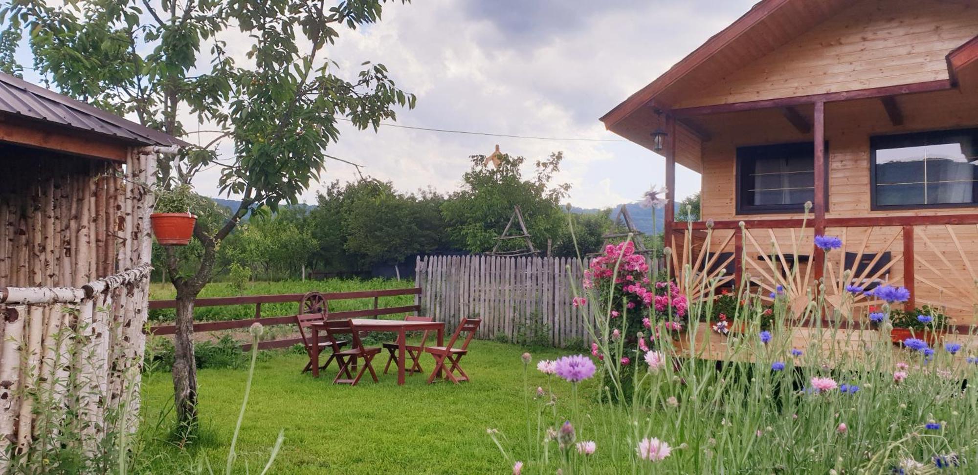 Baltina Parc Transfagarasan Villa คูร์ตา เด อาร์เจช ภายนอก รูปภาพ