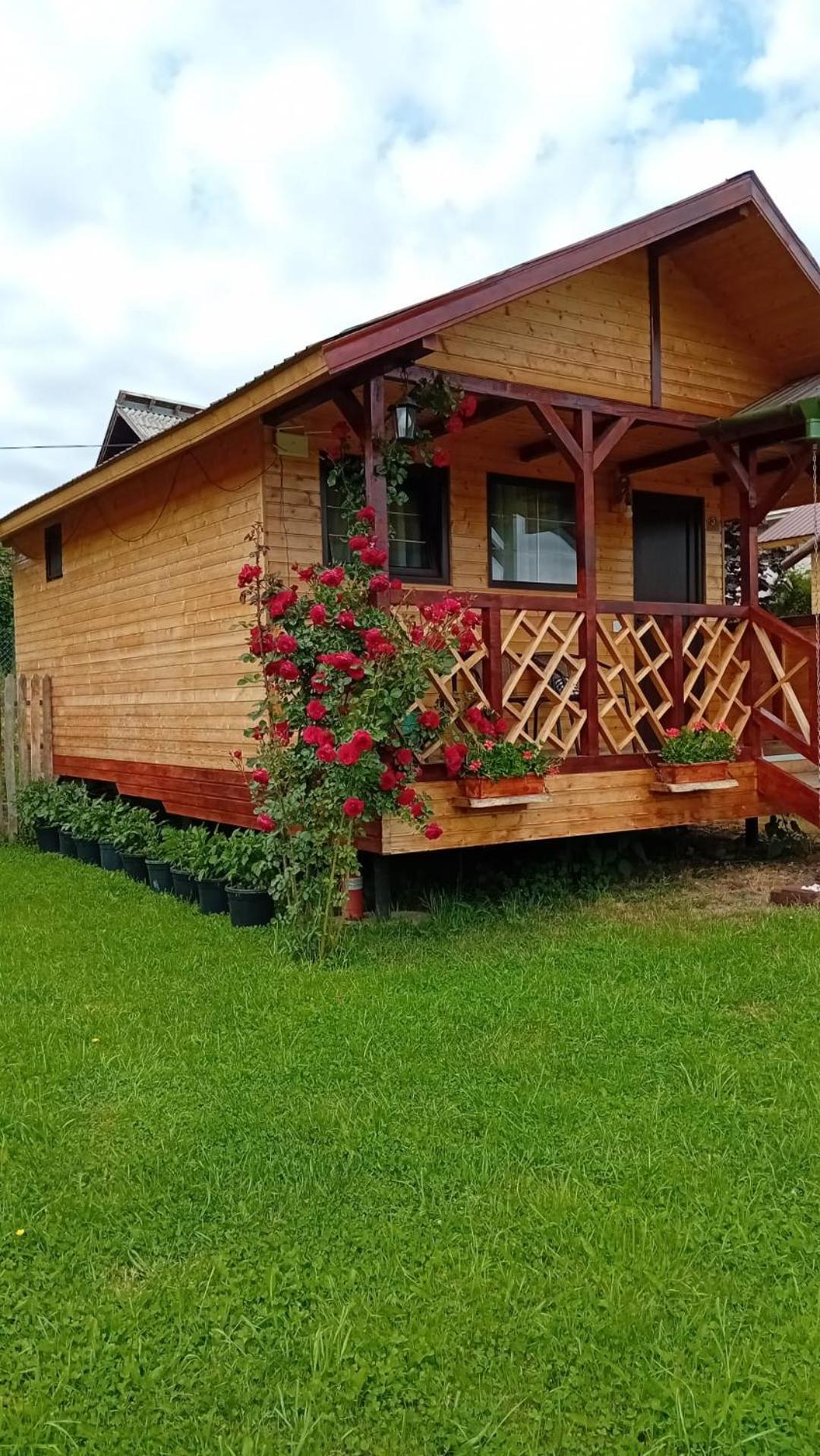 Baltina Parc Transfagarasan Villa คูร์ตา เด อาร์เจช ภายนอก รูปภาพ