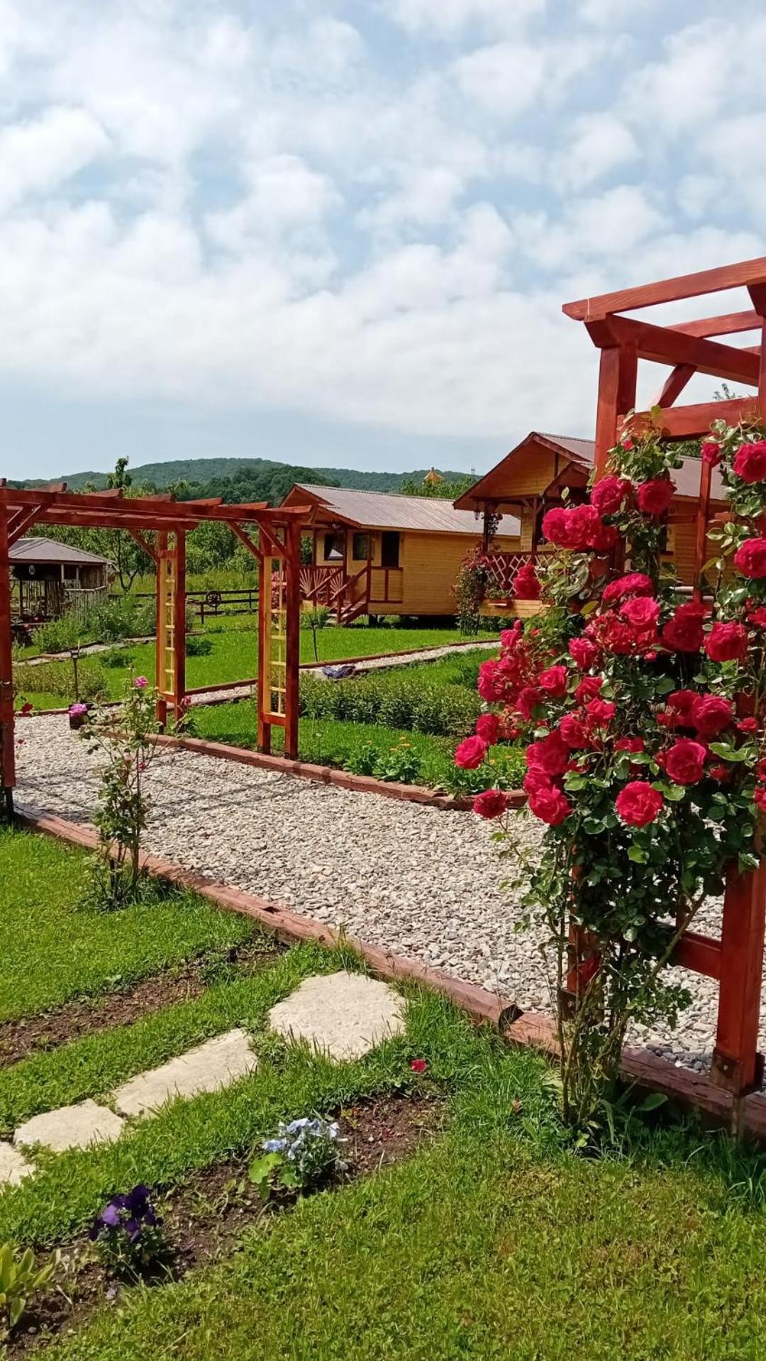 Baltina Parc Transfagarasan Villa คูร์ตา เด อาร์เจช ภายนอก รูปภาพ