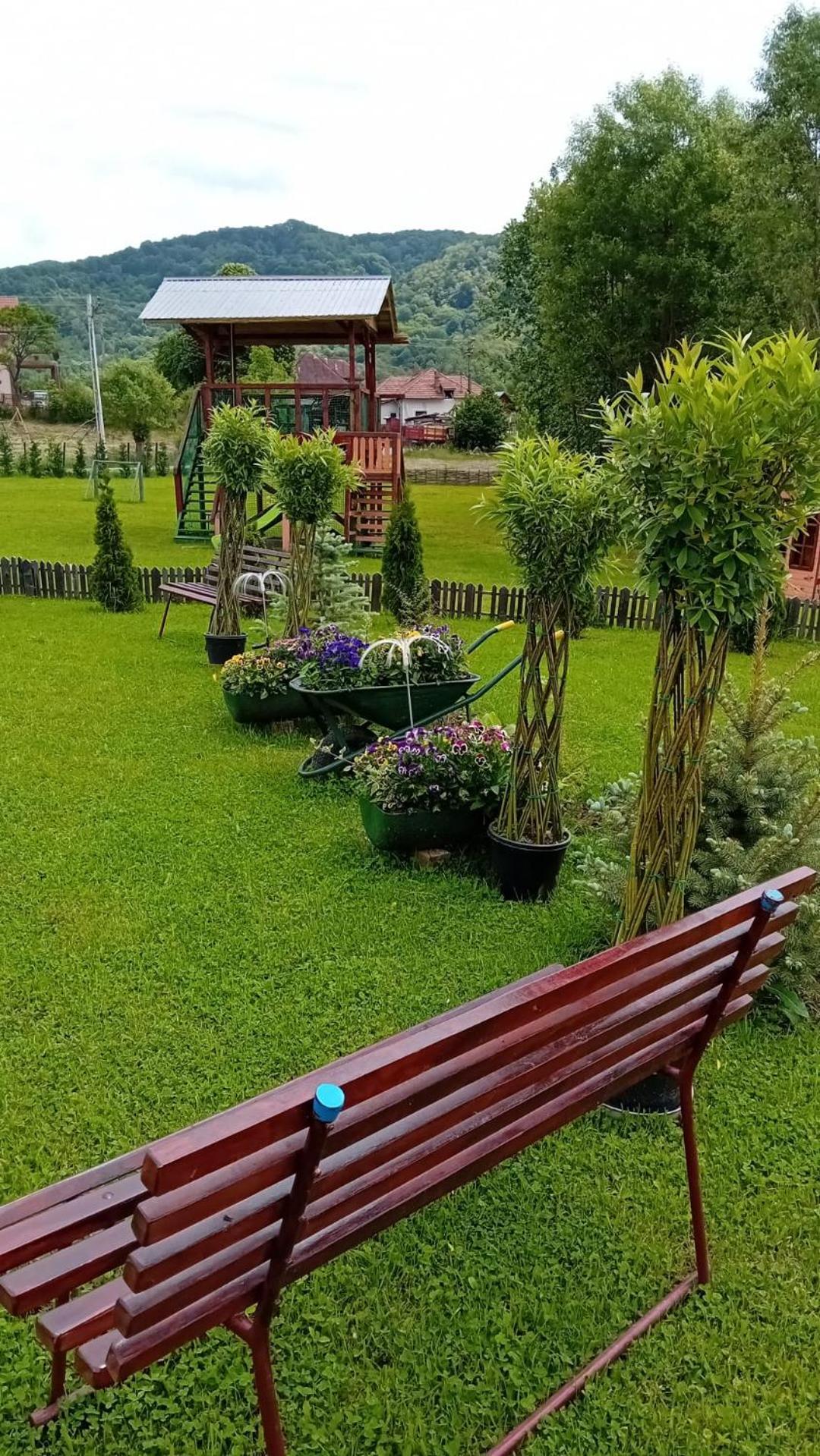 Baltina Parc Transfagarasan Villa คูร์ตา เด อาร์เจช ภายนอก รูปภาพ