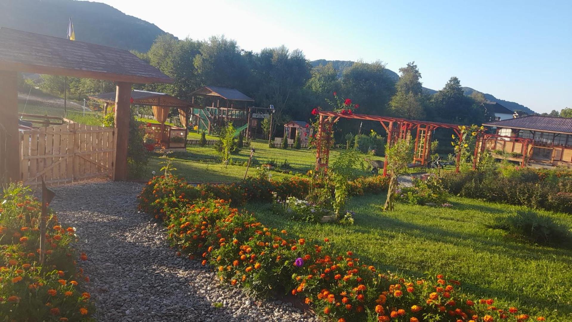 Baltina Parc Transfagarasan Villa คูร์ตา เด อาร์เจช ภายนอก รูปภาพ