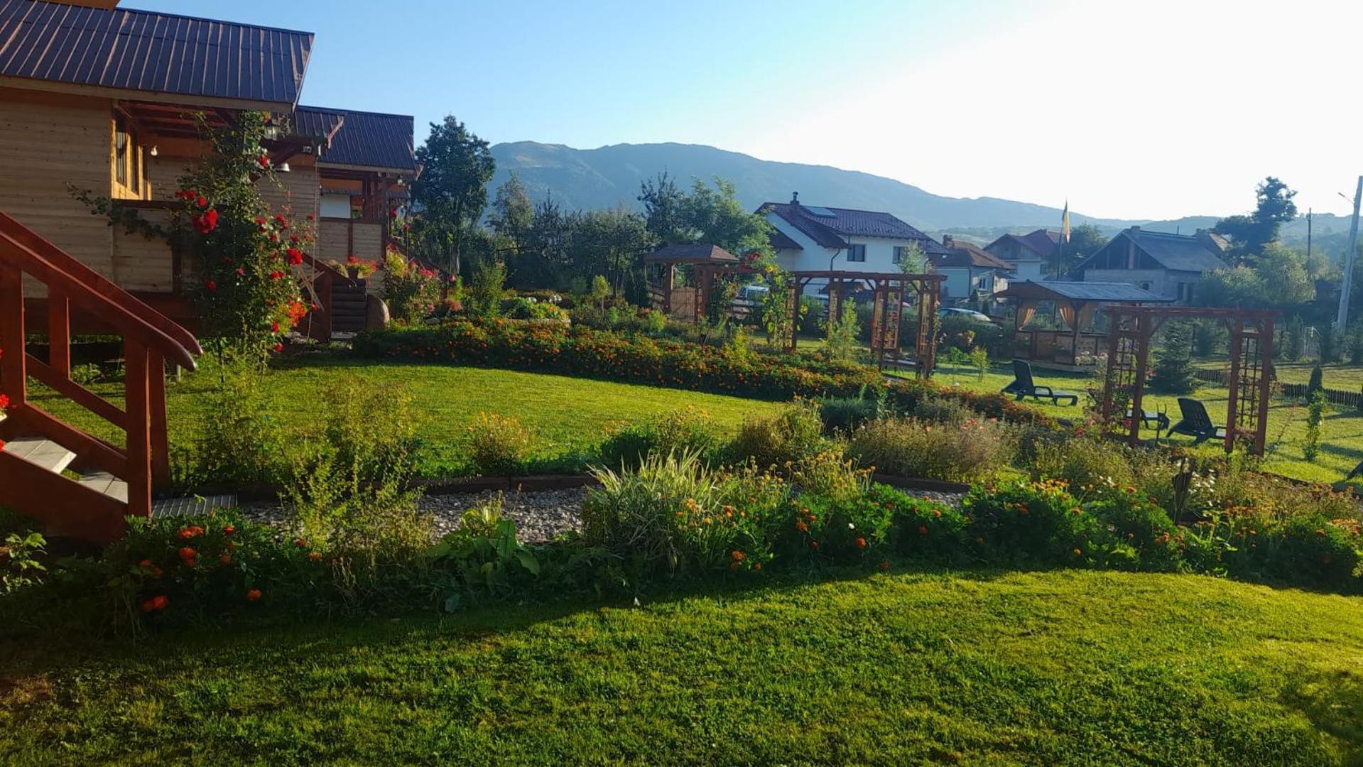 Baltina Parc Transfagarasan Villa คูร์ตา เด อาร์เจช ภายนอก รูปภาพ